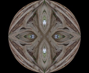 P8179652Kal3b.jpg